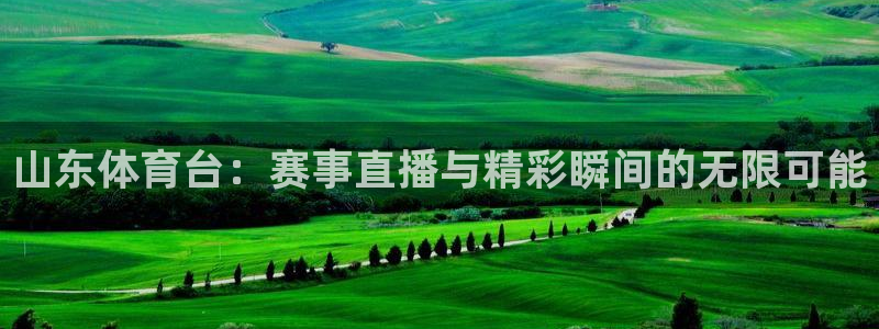 松鼠平台：山东体育台：赛事直播与精彩瞬间的无限可能