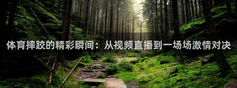 松鼠平台：体育摔跤的精彩瞬间：从视频直播到一场场激情对决