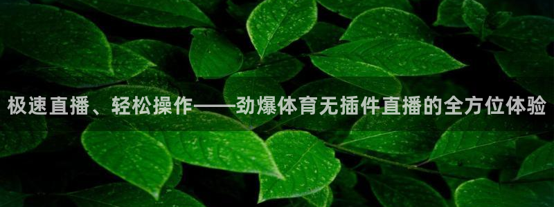 松鼠网官方下载：极速直播、轻松操作——劲爆体育无插件直播的全方位体验