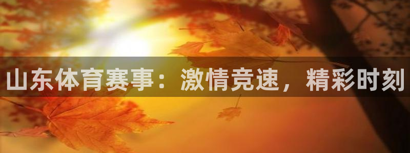 松鼠直播nba：山东体育赛事：激情竞速，精彩时刻