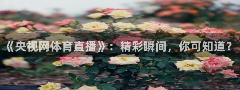 松鼠直播tv：《央视网体育直播》：精彩瞬间，你可知道？