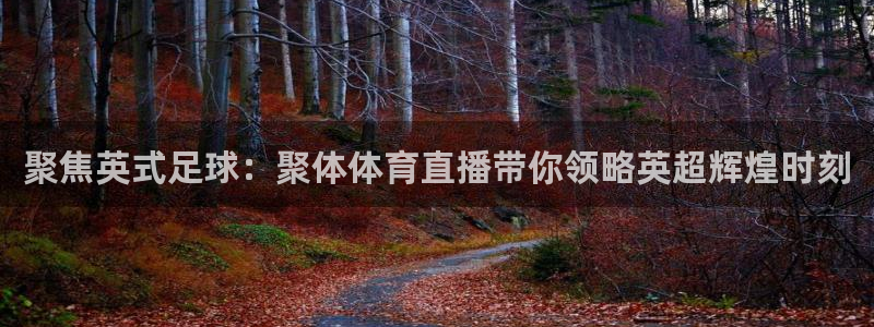 松鼠直播tv：聚焦英式足球：聚体体育直播带你领略英超辉煌时刻
