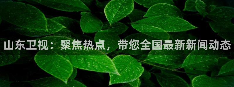 松鼠体育在线直播视频：山东卫视：聚焦热点，带您全国最新新闻动态