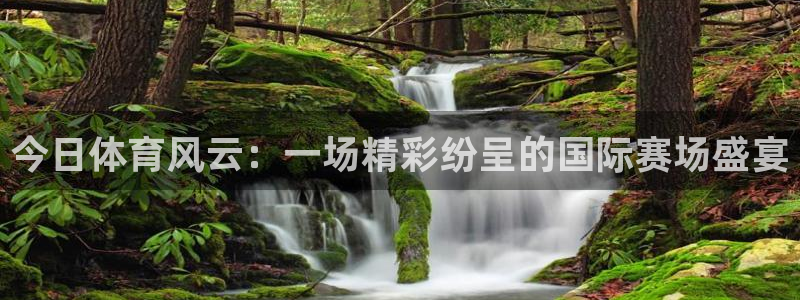 下载松鼠电视直播：今日体育风云：一场精彩纷呈的国际赛场盛宴