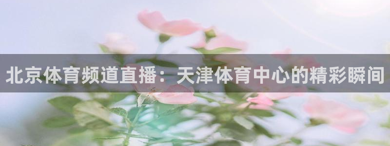 松鼠平台：北京体育频道直播：天津体育中心的精彩瞬间