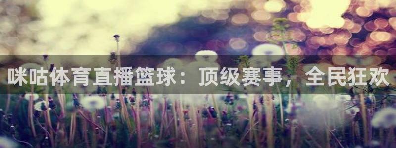 松鼠体育：咪咕体育直播篮球：顶级赛事，全民狂欢