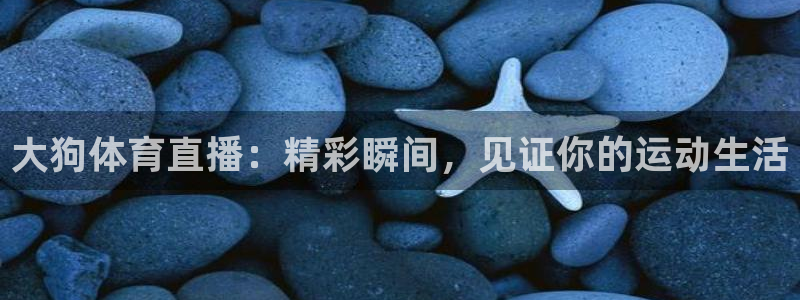 松鼠直播体育免费：大狗体育直播：精彩瞬间，见证你的运动生活