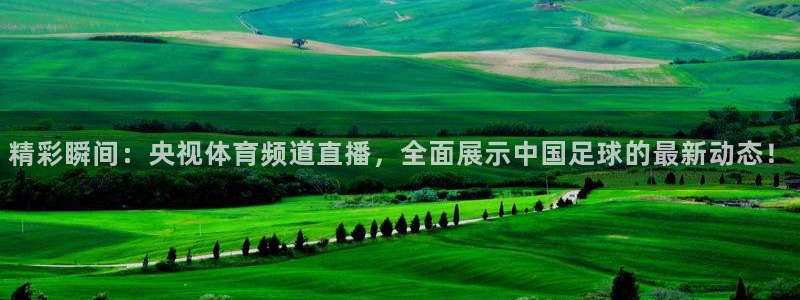 松鼠直播体育免费：精彩瞬间：央视体育频道直播，全面展示中国足球的最新动态！
