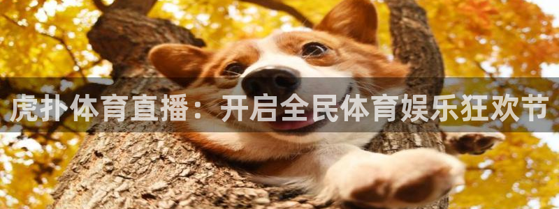 松鼠直播体育：虎扑体育直播：开启全民体育娱乐狂欢节